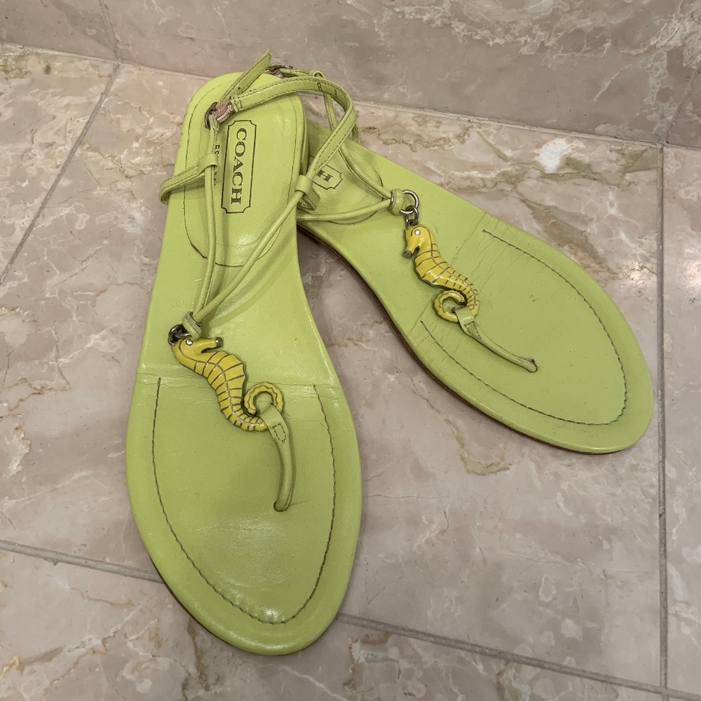 COACH Johanna Seahorse Thong Sandals
